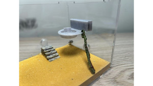 food plate on air (Preventing Ants from Drowning)