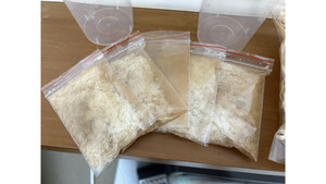Fruit Fly: 5 x bags of Flightless Fruit Fly culture media ( not include fly)