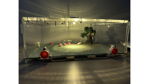 Tools: Large living area (350 x 240 x 105mm) =Big Tree