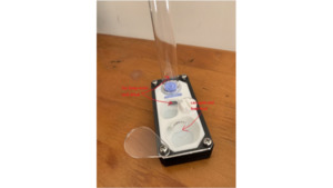 N1 First ant fram(best for new queen or small group)