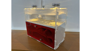 Vertical ant farm: aerated concrete blocks ants farm A3 (180 x 85 x 145 mm)