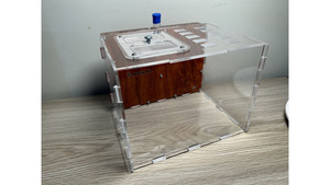 Vertical ant farm: Huge size ants farm (210x180x160)