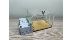 O1 Marble Like farm + switch + small living area (new queen farm, small colony farm)