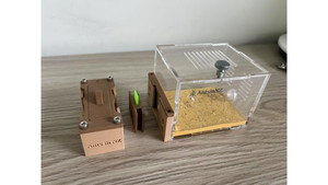 Ants in NZ farm: O1 wood Like farm + switch + small living area (new queen farm, small colony farm)