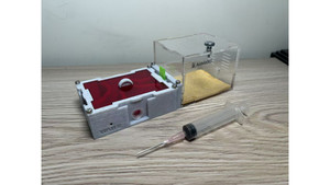 O2 farm + switch +small living area