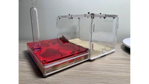 P2 Large Ants farm (size 200x160x100) with cement base