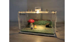 Flat Ants farm: P2D Large Ants farm (size 200x160x100) with cement base