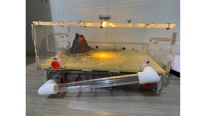 B2 Super size Ant farm (size350x240x130) with light (new design special price)