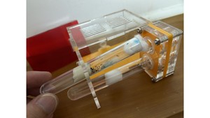 Tube ant farm: T5 New queen ant farm, small colony ant farm