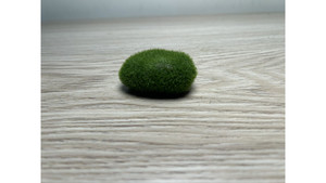 Decorate for ants farm: Artificial moss rock small