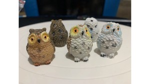 Decorate for ants farm: Artificial owl x 1