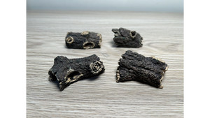 Decorate for ants farm: Artificial tree root x 1