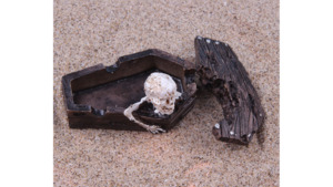 Decorate for ants farm: skeleton