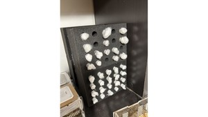 Tools: sponge set (new queen to first worker)