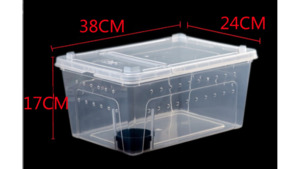 Enclosure: X Large (38 x 24 x 17 cm) Terrarium, Transparent, Insect Reptile Amphibious box