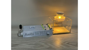 Tube ant farm: T1 farm + switch + small living area