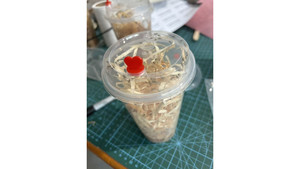 Products: Live fruit fly (fly one, 4mm size) - one cup