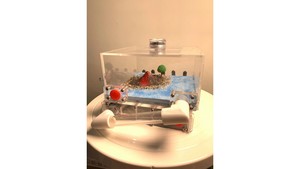 Products: B1 Ant farm (island) with light (new design special price)