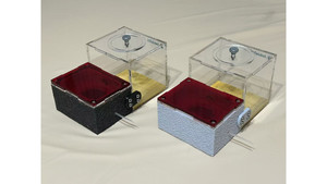 Products: Blue Pony Ant in F1 ( black or white ) farm = (Rhytidoponera chalybaea) full set