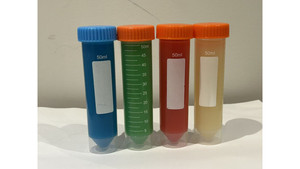 Jelly Food - Formulated food