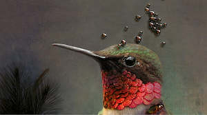 iBride Collector Portrait - Ambroise (Large)