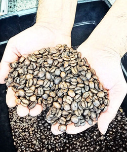 Products: Monthly Coffee Subscription Aoraki Coffee