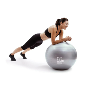Products: Pro Stability Exercise Ball