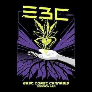 Frontpage: Purple Haze - E3C