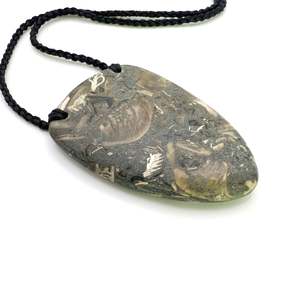 Fossilised Shell Breastplate