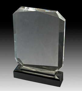 Kingston Crystal Award