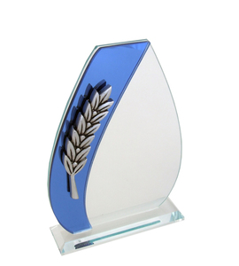 Economy Glass Awards • & Engraving: Rayona Glass Award