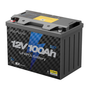 Batteries: EcoFlow RV Lithium Battery 100AH/12V
