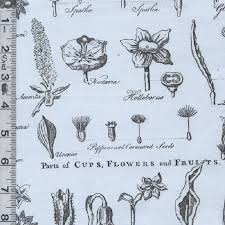 Art Journal By Riley Blake: Art Journal - Flower Study - Blue