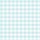 Magnolia Light Blue Check