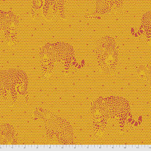 Daydreamer PWTP174 Papaya - Lil Jaguars