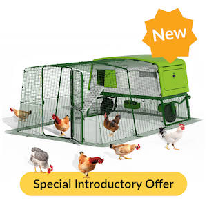 Omlet Eglu Chicken Coops: Eglu Pro | Extra Large Chicken Coop