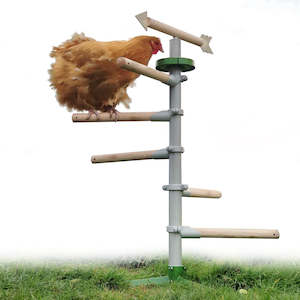 Bungee Hooks | Pack of 6