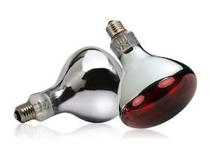 Chick Warmers Brooders: 250 Watt Infrared Lamps | Glass Bulbs