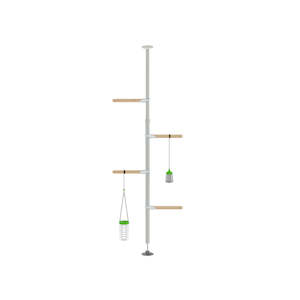 Chicken Accessories: The Hentertainment Kit | Poletree