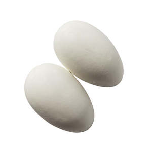 Quail Pheasants Ducks Guinea Fowl: Wooden Nest Eggs | A Pair