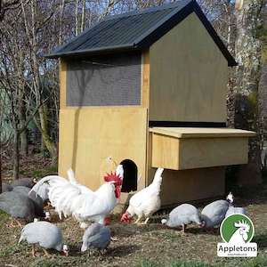 Mini Apex Hen House | Appletons