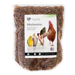 Chicken Greens Treats: Dried Mealworms | Topflite