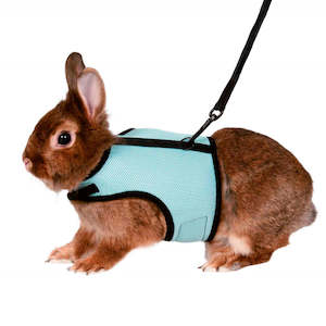 Rabbit Feed Drinkers Misc: Soft Harness | Rabbits