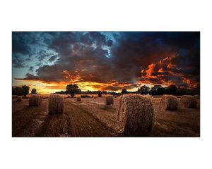 Products: Samsung 46" 1920x1080 500nit 24/7 Digital Signage Display - Appliance Outlet