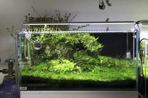 Chihiros Led Lighting  A Series