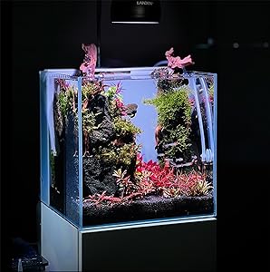 Marine Tank: Landen ALL-IN-ONE Freshwater Aquarium Tank