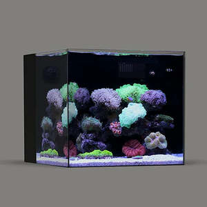 Marine Tank: LANDEN NANO 60