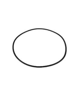 Series 1000 filter lid o'ring