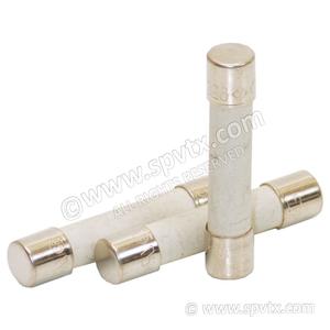 Balboa Spa Smaller Components: 20A 31mm Pump Fuse