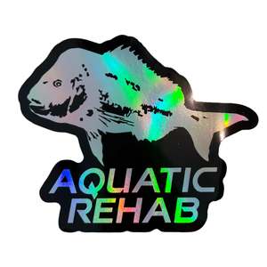 Holographic OG Aquatic Rehab Sticker